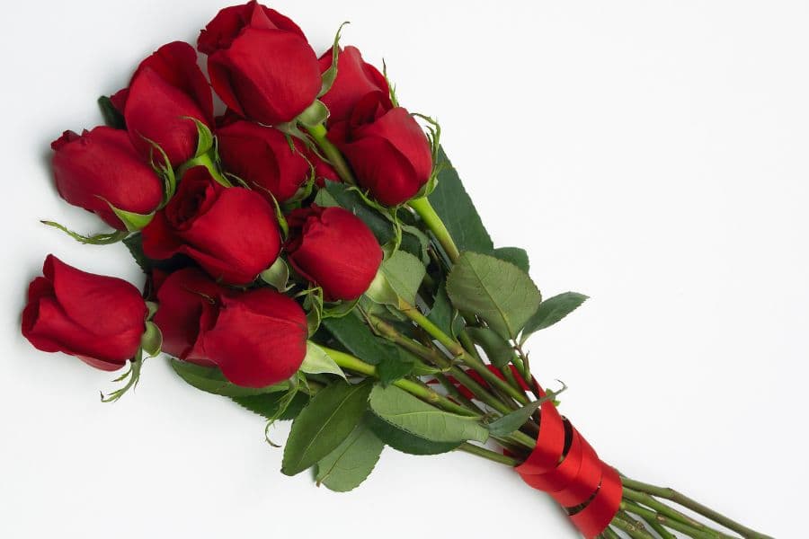 A bouquet of ten red roses tied with a ribbon.